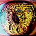 Tim Selman music - Facebook