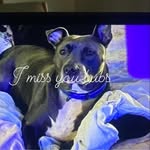 Tim Senger - @tsenger575 - Instagram