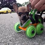 Tim Shafer - @daboccikidd01 - Instagram