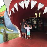 Tim Shaner - @tim.shaner.7 - Instagram