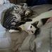 Tim Shaner - Facebook