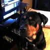timshaner495 - @timshaner495 - TikTok