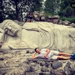Tim Shanks - @timdhanks4 - Instagram