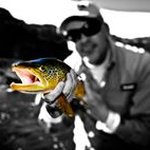 Tim Shanley - @bloomingg19 - Instagram