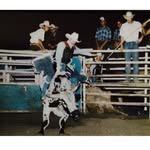 Tim Sheets - @mighty__mouse_51 - Instagram