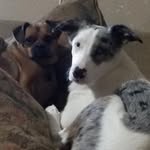 Tim Sheffield - @timsheffield1961 - Instagram