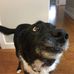 Tim Sheffield - Facebook