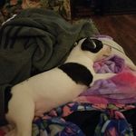 Tim Sherrill - @tim.sherrill.1481 - Instagram