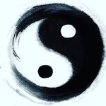 Tim Shirk - @timm_shirk666 - Instagram