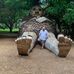 Tim L Shively - Facebook