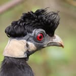 Tim Shoemaker - @tshoe01 - Instagram