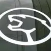 timshoemaker - @timshoemaker - TikTok