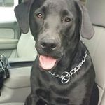 Tim Silk - @jbug2410 - Instagram