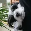 Tim Silva - @timsilvad2 - TikTok