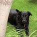 Tim Slavin - Facebook