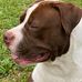 Tim Smalls - Facebook
