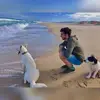 Tim Vogel - @timsmilesalot - TikTok