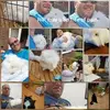 Tim Smithson - @timsmithson - TikTok