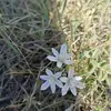 solumdaki cennetim🌹 - @solumdakicennetim - TikTok