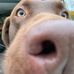 Tim Soper - Facebook