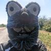 Southern Serpents uk - @timsouthern - TikTok