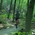 Tim Speck - Facebook