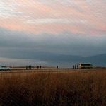 Tim Speckmann - @timk_speckmann - Instagram