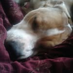 Tim Spellman - @towwinch - Instagram
