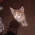 Tim Spencer - @timspencer3454 - Instagram