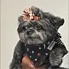 Timika Spruill - @timika.spruill - TikTok