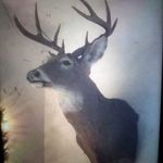 Tim Staggs - @tim.staggs.927 - Instagram