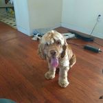 Tim Stallings - @stallings6992 - Instagram