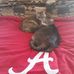 Tim Stallings - Facebook