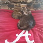 Tim Stallings - @tim.stallings.376 - Instagram