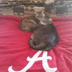 Tim Stallings - @tim.stallings.353 - Instagram