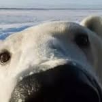 Tim Stanek - @memes_4_u_14 - Instagram
