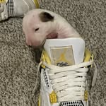TimothyRhett Stanfield - @timothyrhettstanfield - Instagram