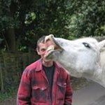 Tim Stannard - @tim.stannard - Instagram