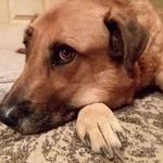 Tim Stapleton - @timstapleton1965 - Instagram
