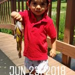 Tim Stapleton - @tim.stapleton19 - Instagram