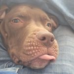 Tim Starks - @tim.starks.54 - Instagram