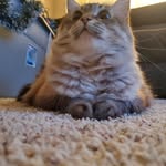 Tim - @timstearns - Instagram