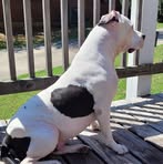 Timothy Stoddard - Facebook