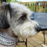 Tim Straub - @tim.straub.10 - Instagram