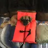 timsullivan3239 - @timsullivan3239 - TikTok