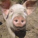 Tim Sumner - @tim.sumner.908 - Instagram