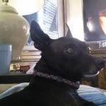 Timothy Swango - @timothyswango - Instagram
