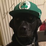 tim sweeny - @archie_theog - Instagram