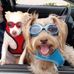 Tim Sykes - Facebook