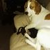 Tim Tallman - Facebook